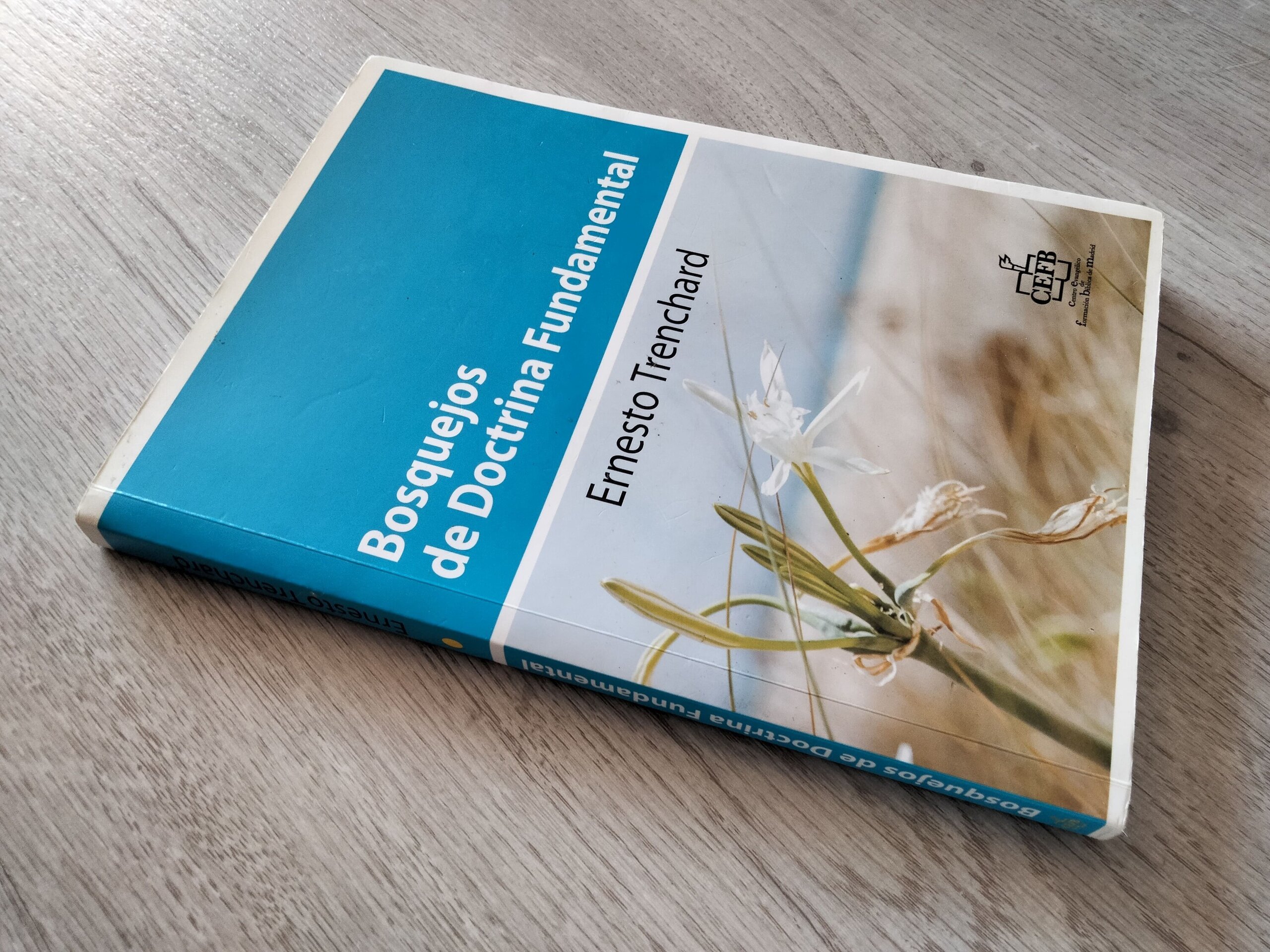 Bosquejos de Doctrina Fundamental - 3